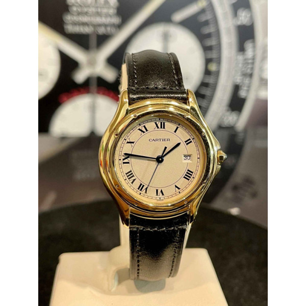 Cartier Cougar Panthere Cougar Ref 116000R